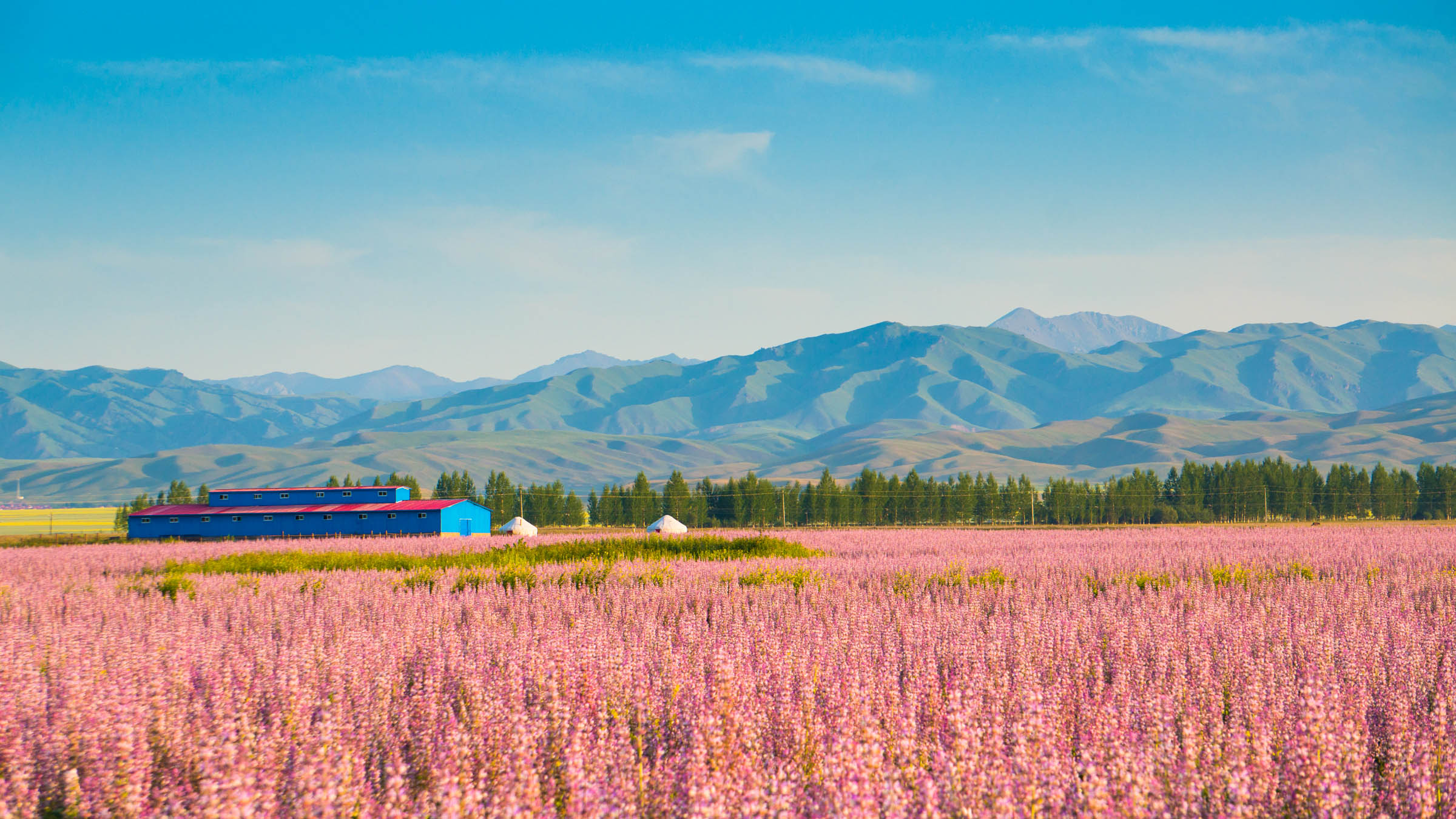 北疆大環(huán)線 夏季新疆最美自駕路線，一覽北疆絕色風(fēng)光